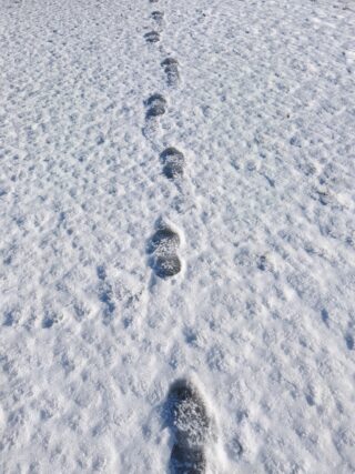 XXXII Koulutuspäivät 6.-7.2.2026 Pentti Ikosen jalanjäljillä - muistoseminaari